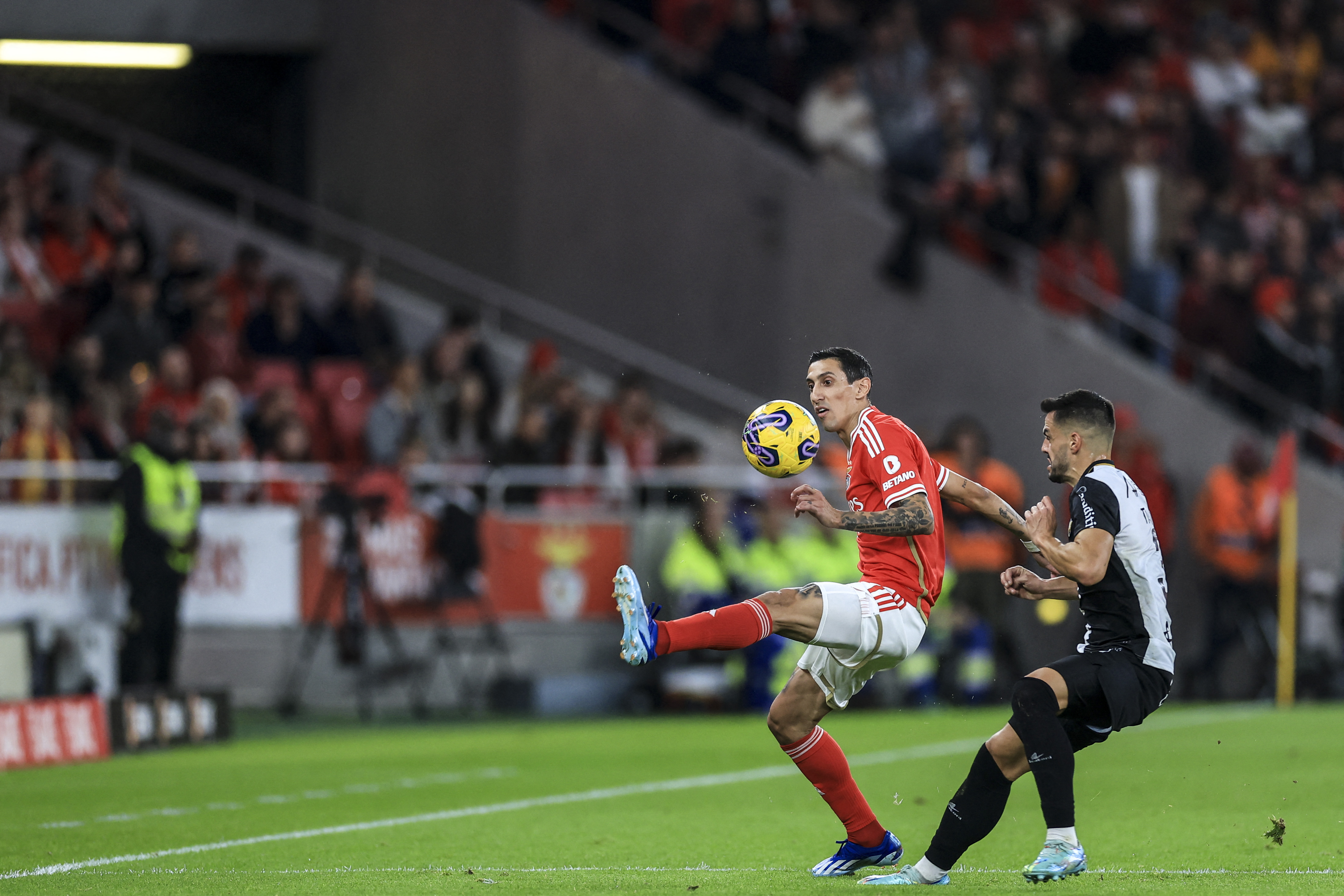 Benfica volta a empatar no campeonato, agora frente ao Farense