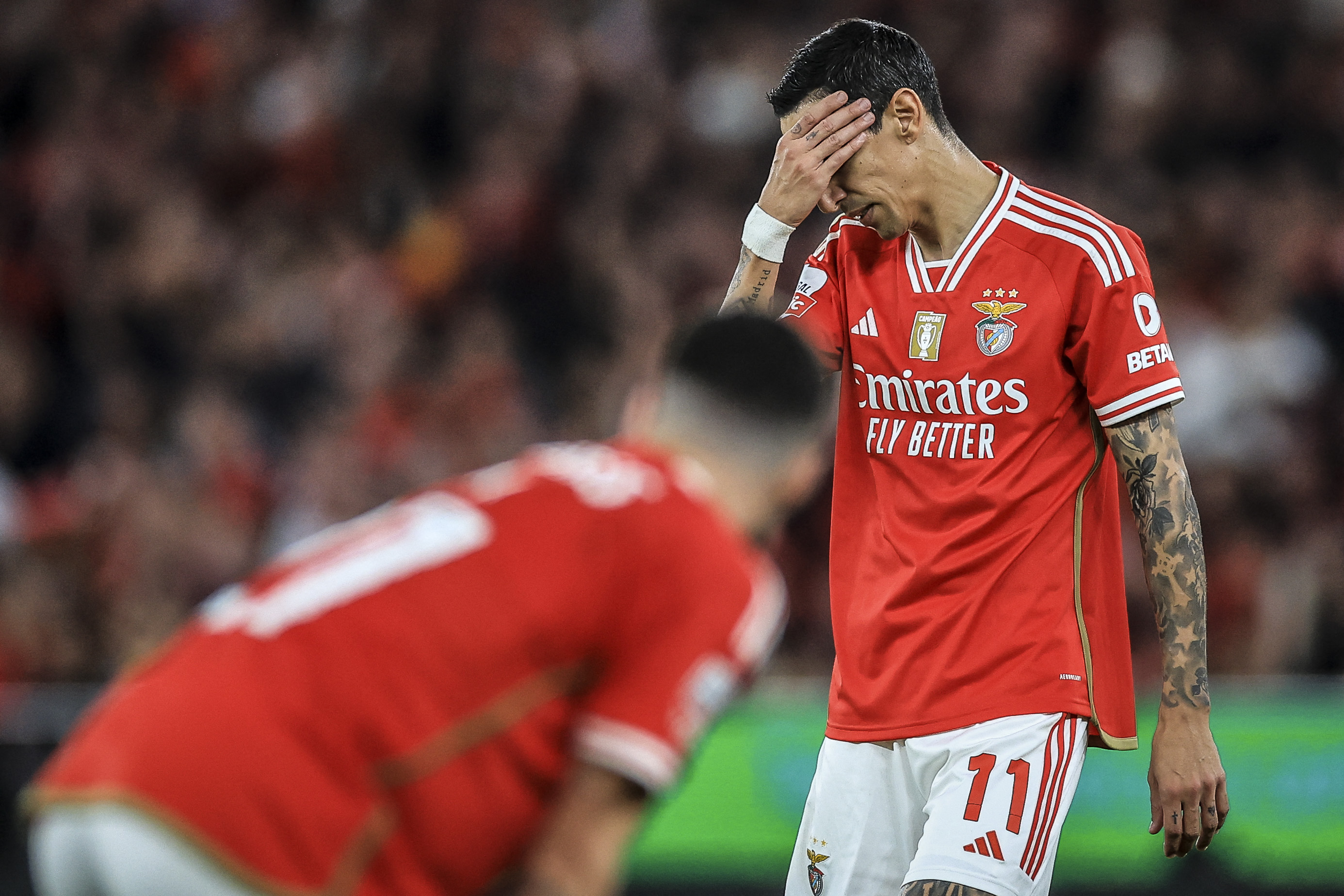 Só com uma asa a águia não voa: Benfica volta a empatar, agora com o  Farense (1-1)