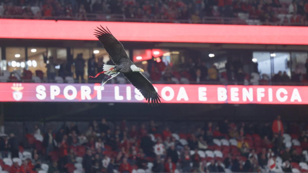 O Benfica voltou a vencer, deixando o Sporting a olhar para cima