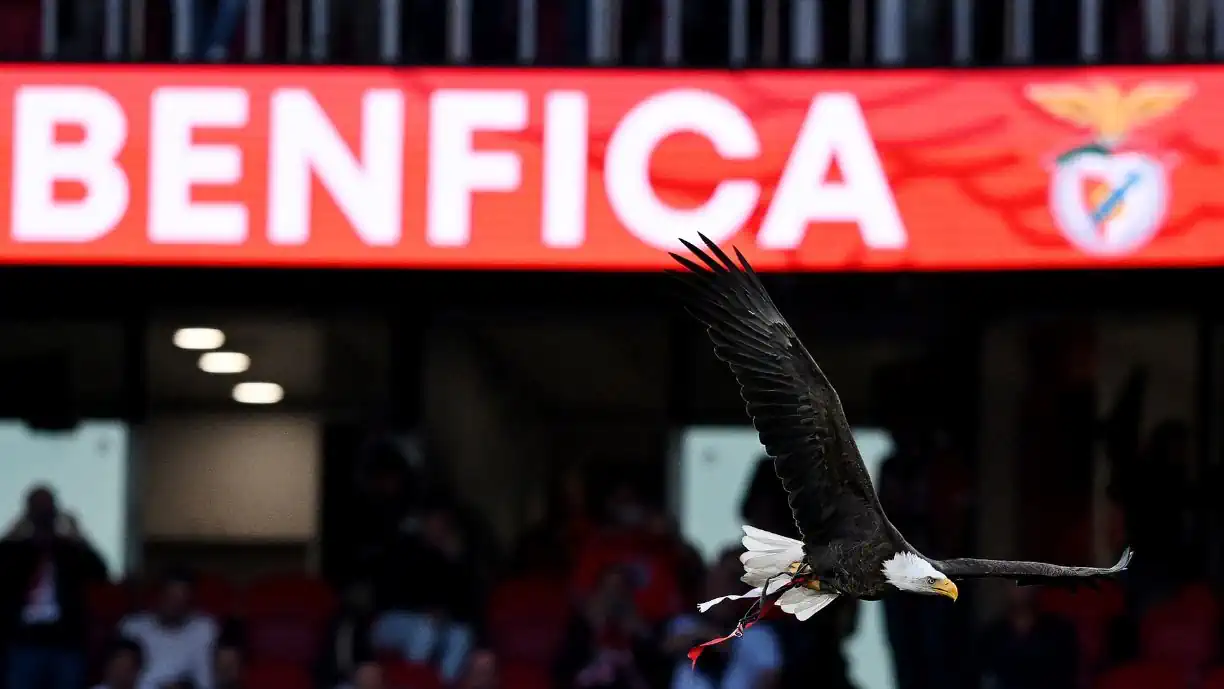 Após ter vergado o Porto, Benfica abalroa adversário do Norte e soma mais uma vitória