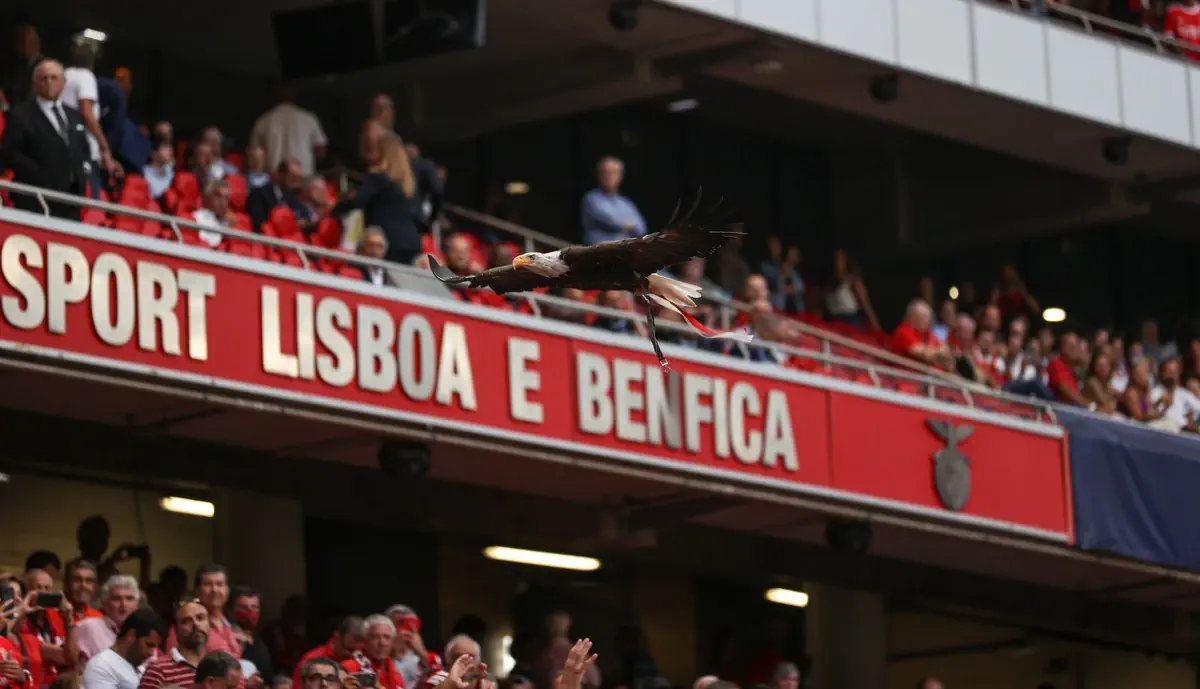 Águias continuam a mostrar trabalho no Benfica 