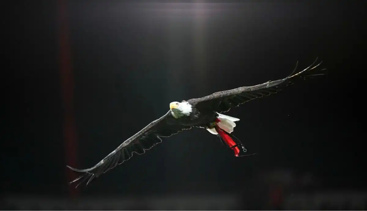Benfica volta a vencer em jogo a valer para o Campeonato Nacional