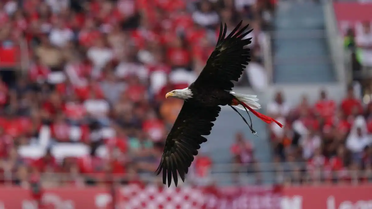 Benfica já só quer levantar o 'caneco'! Glorioso 'verga' adversário e apura-se para meia-final