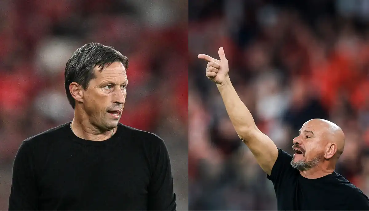 José Mota deixou uma 'dica' a Roger Schmidt e ao Benfica