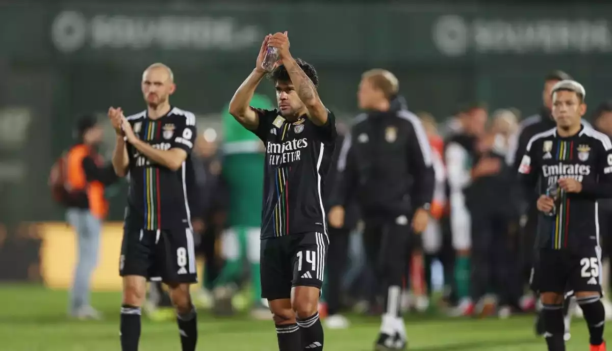 Duarte Gomes analisa penálti contra Benfica que deu o empate ao Rio Ave