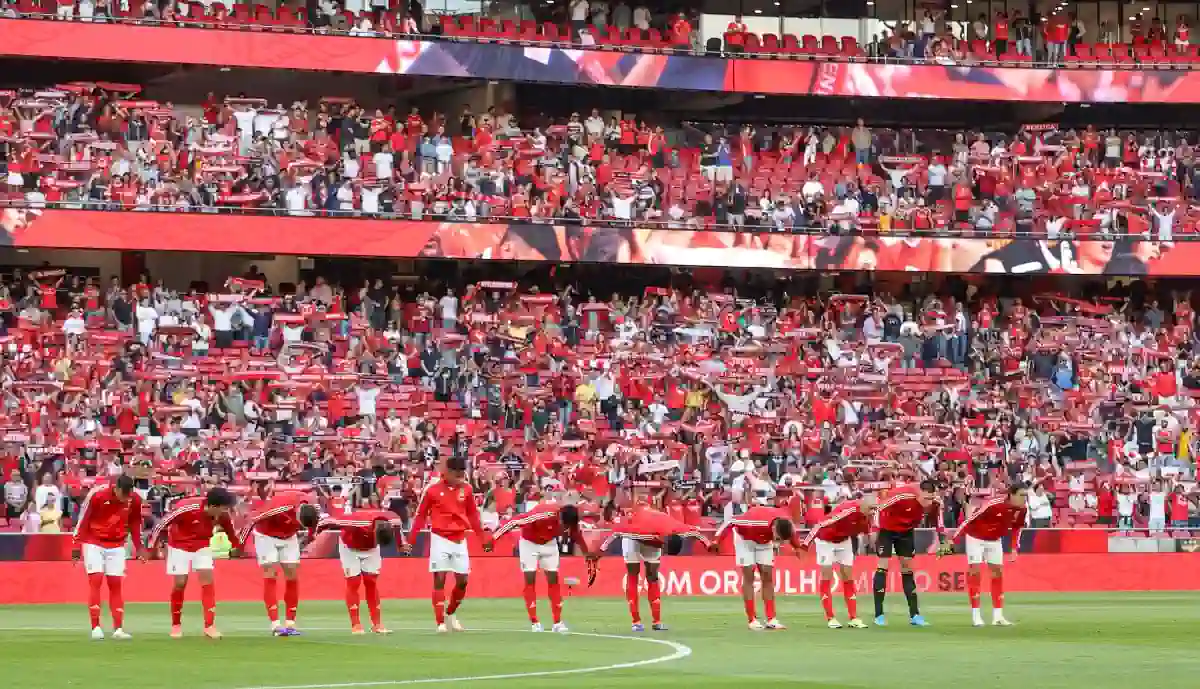 Treinador do Brentford deixa largos elogios ao Benfica: "É um clube enorme e..."