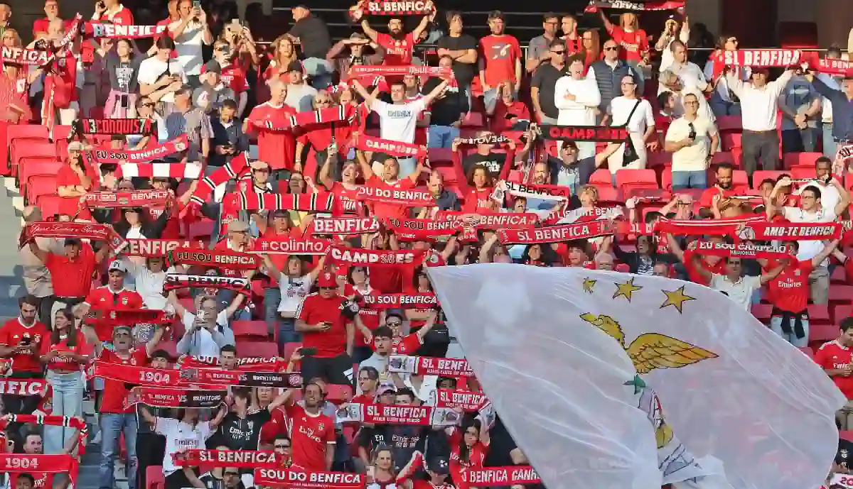 Adeptos não falham e regressam em peso à Luz no Benfica - Brentford
