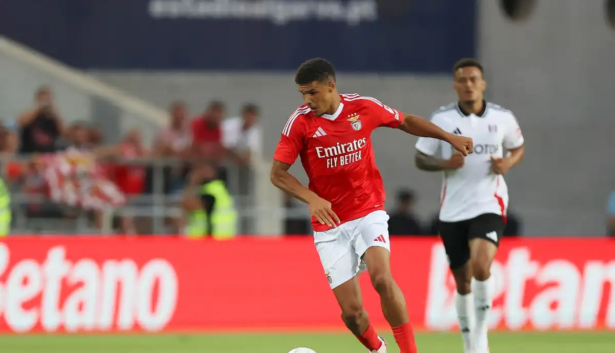 Já começa? Bah cai na área, mas árbitro diz não a penálti a favor do Benfica (Com vídeo)