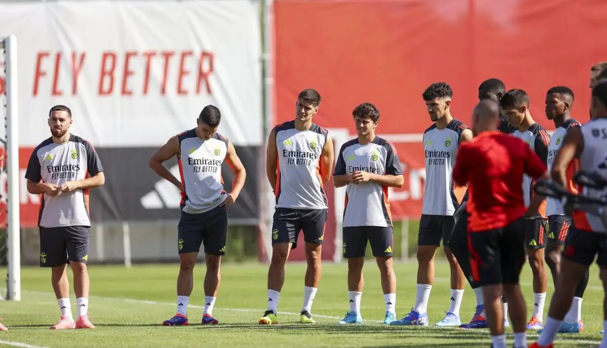 Alemães querem 'abanar' com os milhões por titular de Schmidt, mas Benfica nem quer conversas