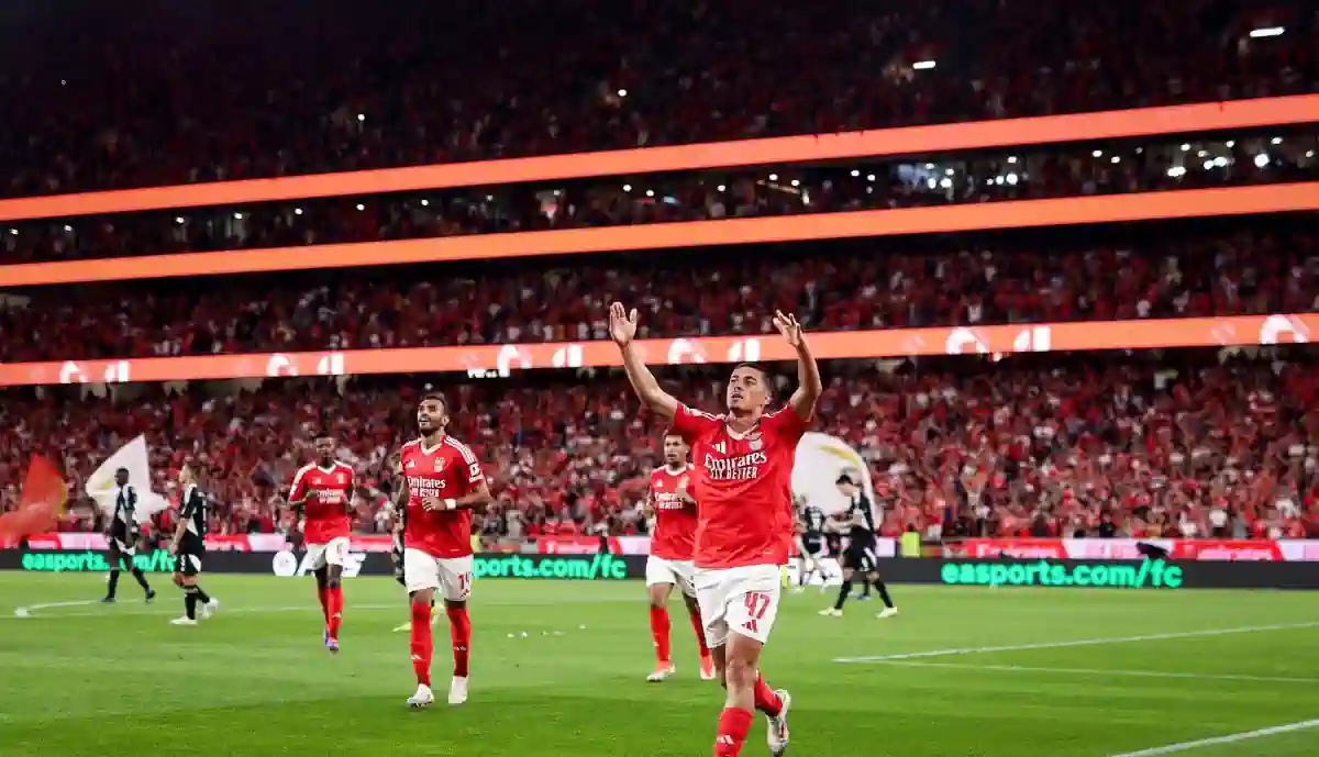 Após brilharete na Luz, há uma nova ordem para Tiago Gouveia no Benfica