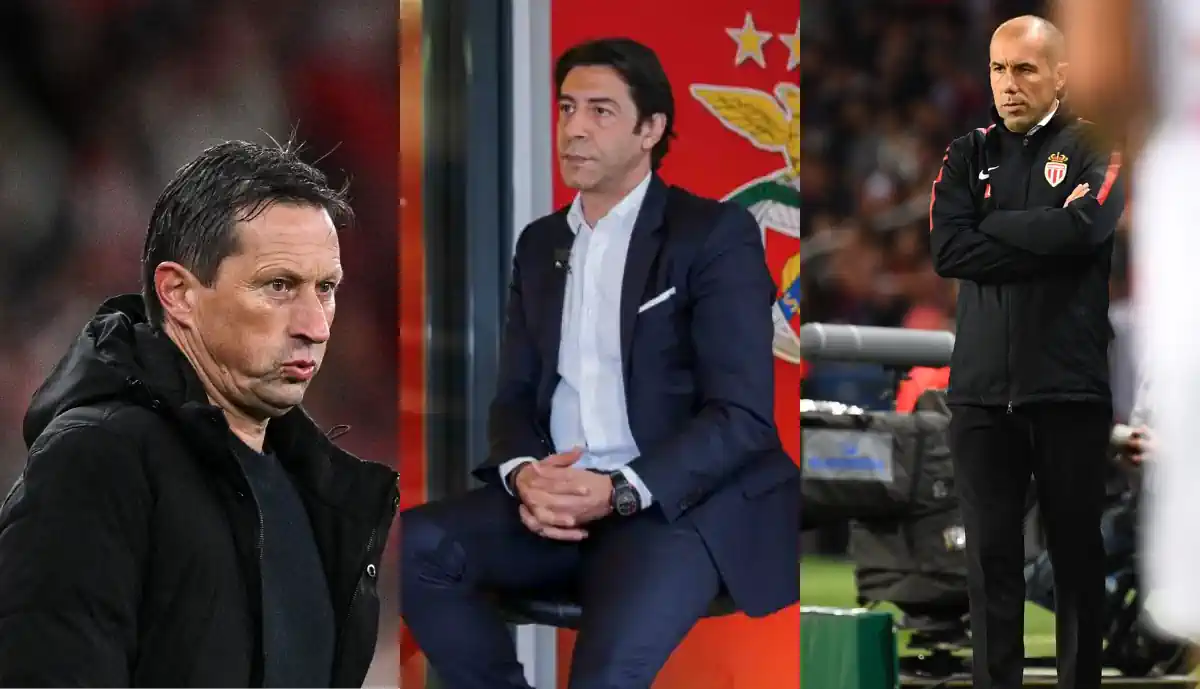 Rui Costa já tem um nome para suceder a Schmidt no Benfica, mas não se trata de Leonardo Jardim