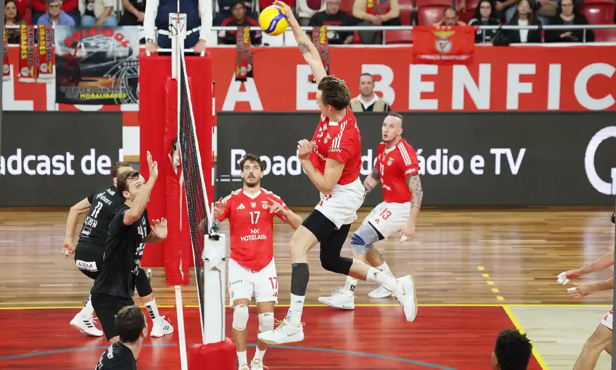 Europa é Benfica! Apesar da derrota, águias de Matz 'comem chocolate belga' na CEV Cup