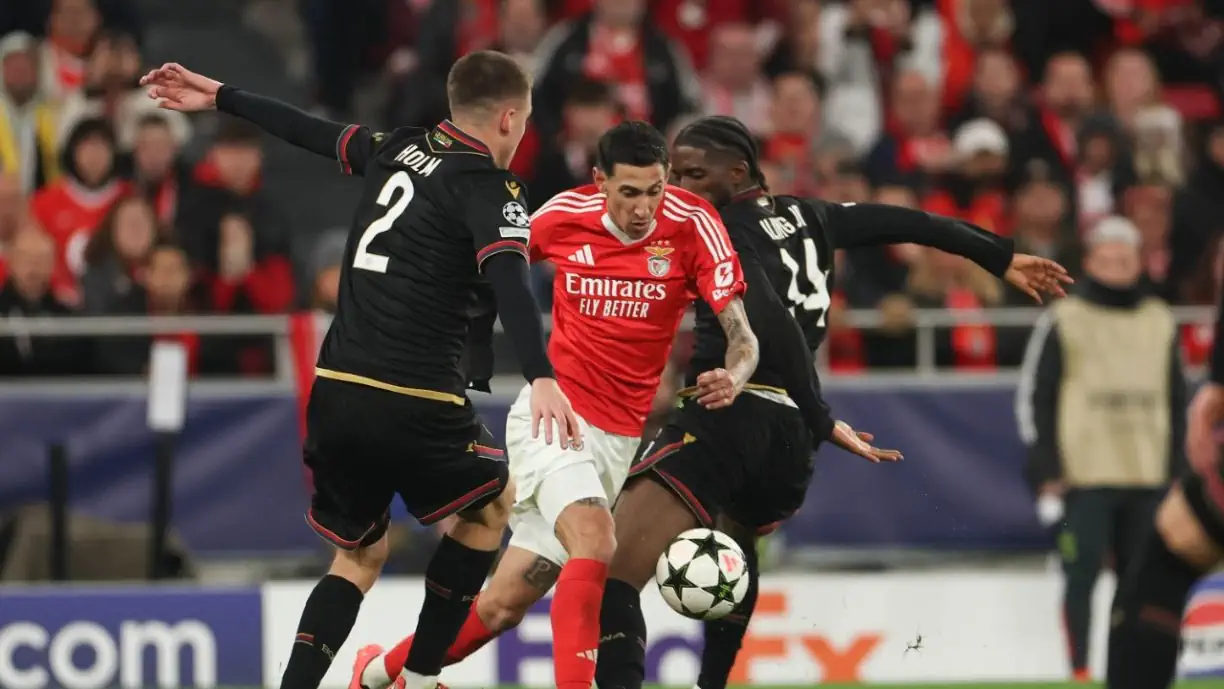 Di María já reagiu ao deslize do Benfica com o Bolonha