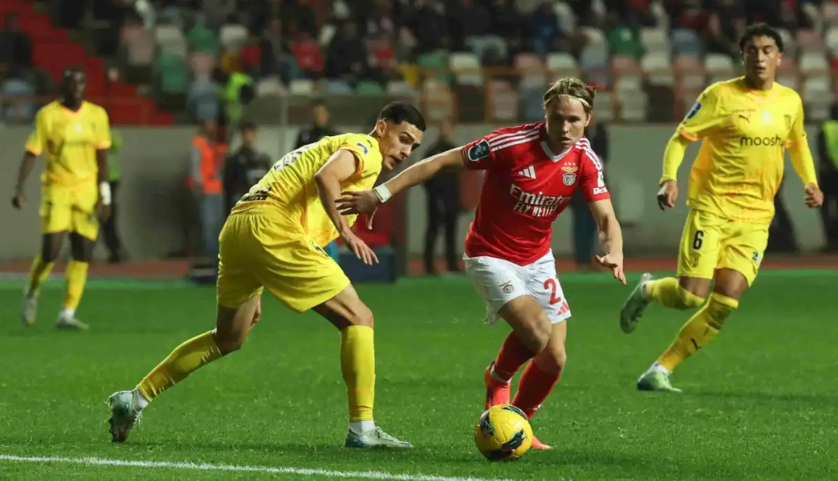 Estreia de Schjelderup a titular pelo Benfica? Lage deixa recado: "Jogar à..."