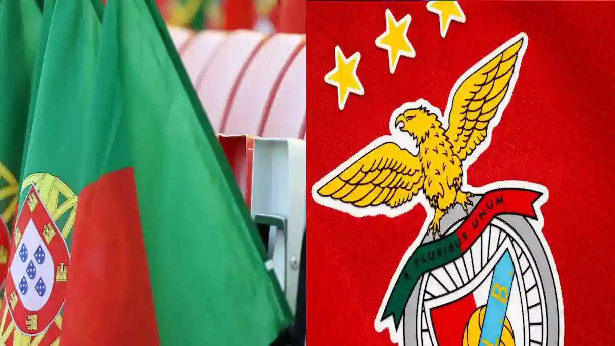 Portugal perde e avançado do Benfica passa-se com a arbitragem: "Tornou-se uma anarquia"