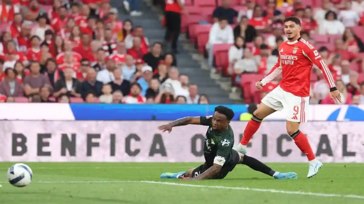 Exclusivo Glorioso 1904 - Benfica toma decisão e vai premiar Franjo Ivanovic