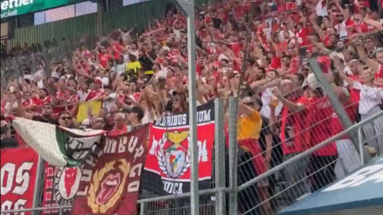 Adeptos do Benfica envolvem-se em confusão nas bancadas após a derrota das águias para o St. Gallen (2-1) na Liga Europa