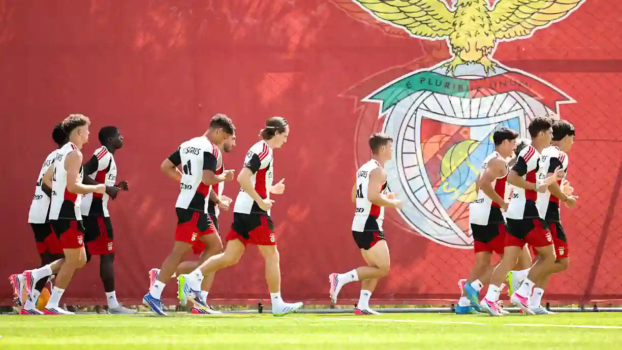 Lesão muscular obriga criativo do Benfica a parar