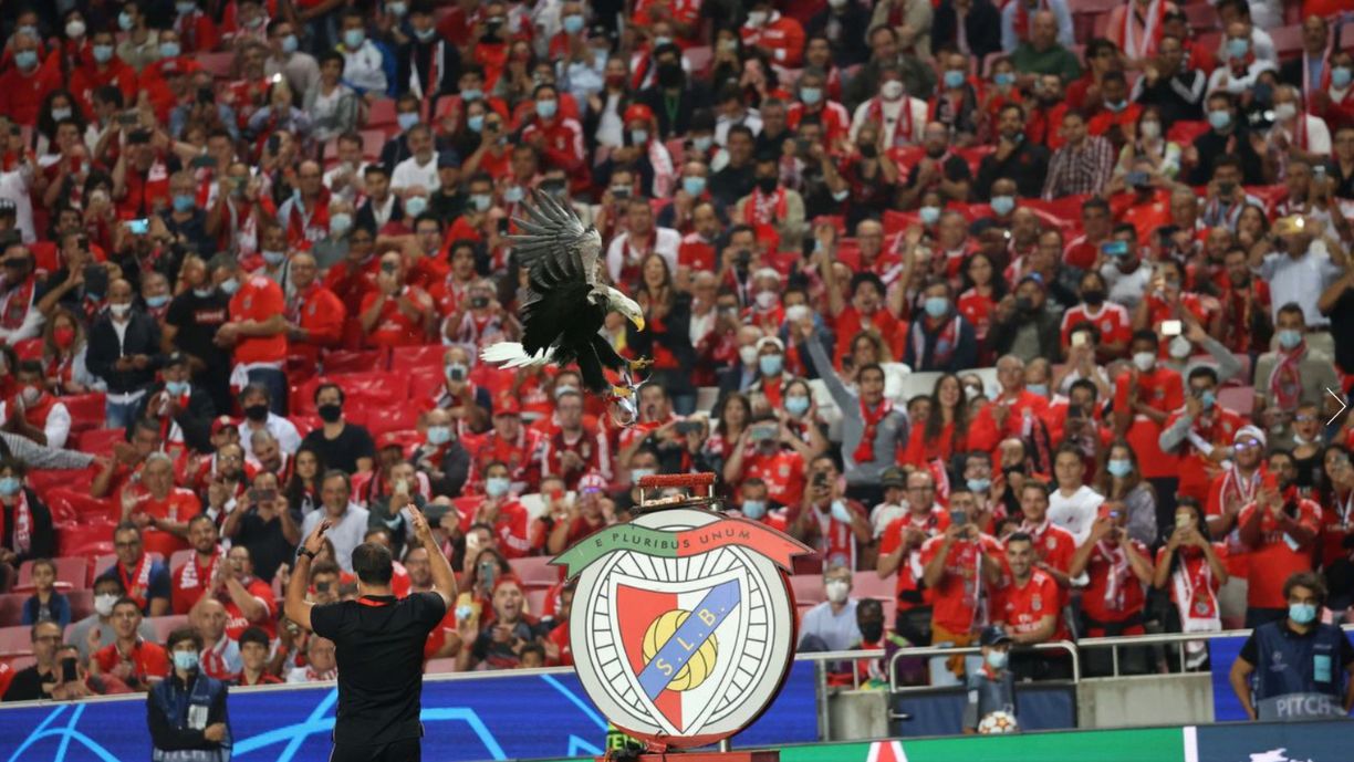 Águia do Benfica