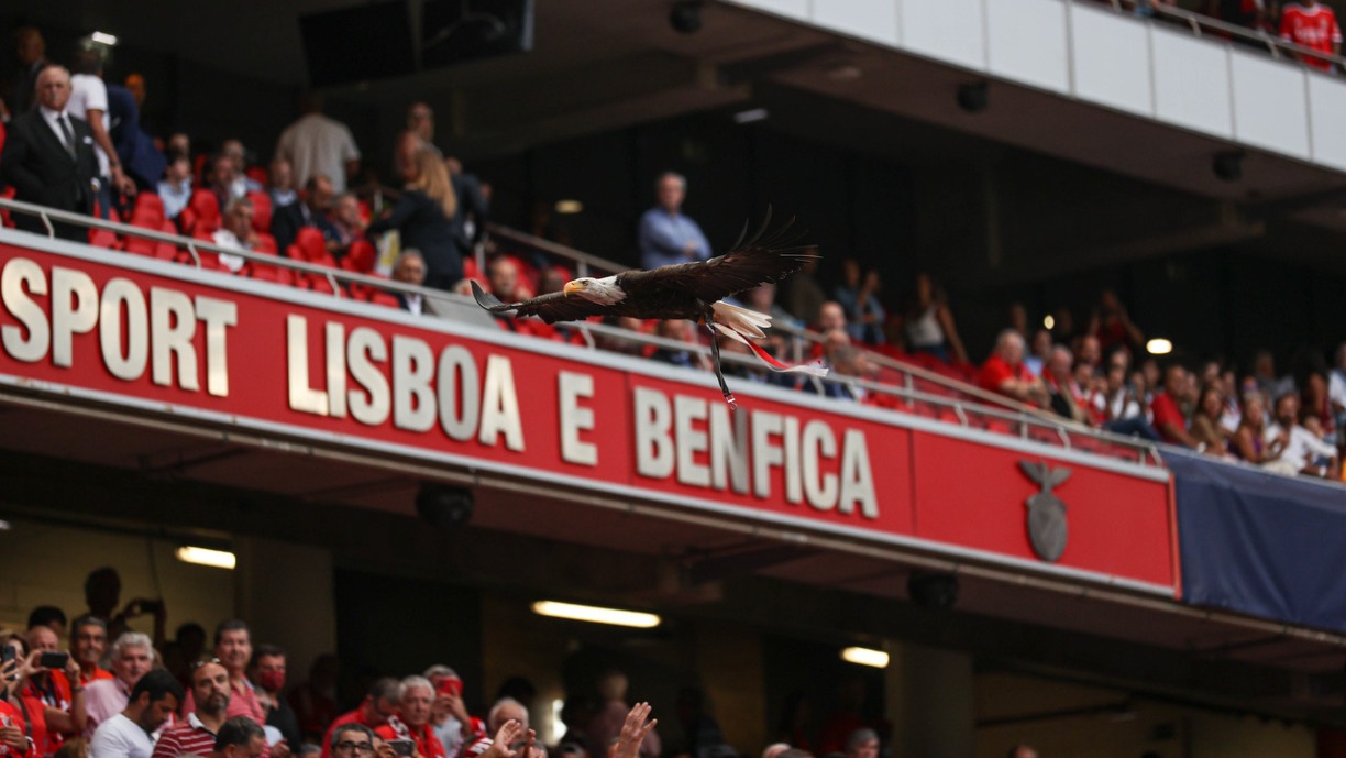 Águia do Benfica